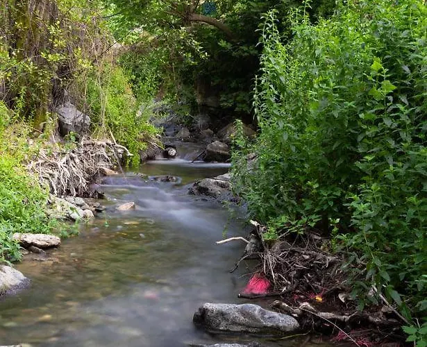 Theoxenia 2* Kalopanagiotis